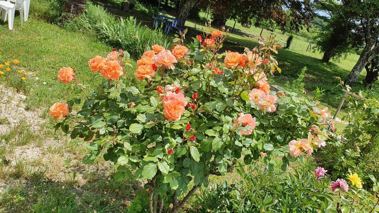 Grande Maison Avec Jardin, Animaux,Au Calme Yviers 外观 照片