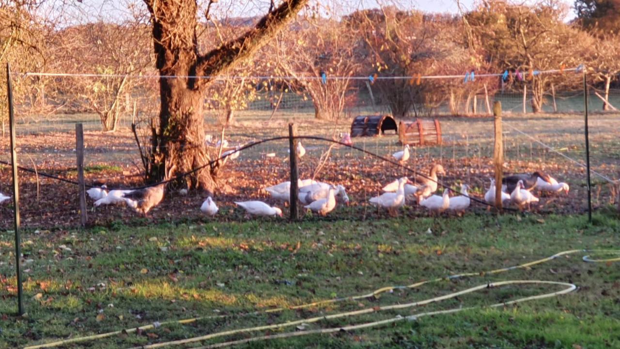 Grande Maison Avec Jardin, Animaux,Au Calme Yviers 外观 照片